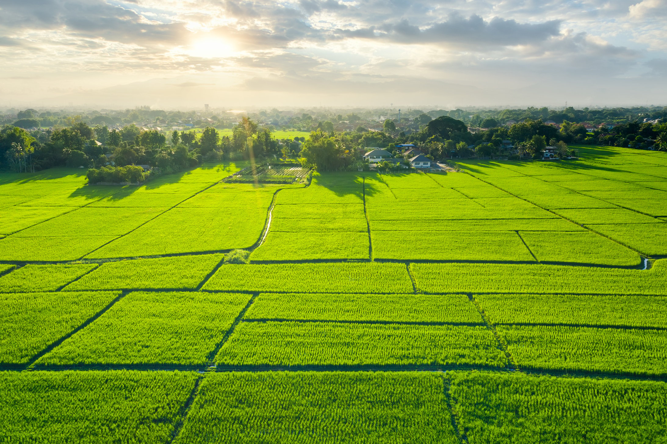 Land plot and green field in aerial view.